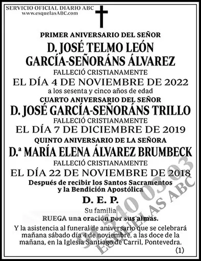 José Telmo León García-Señoráns Álvarez